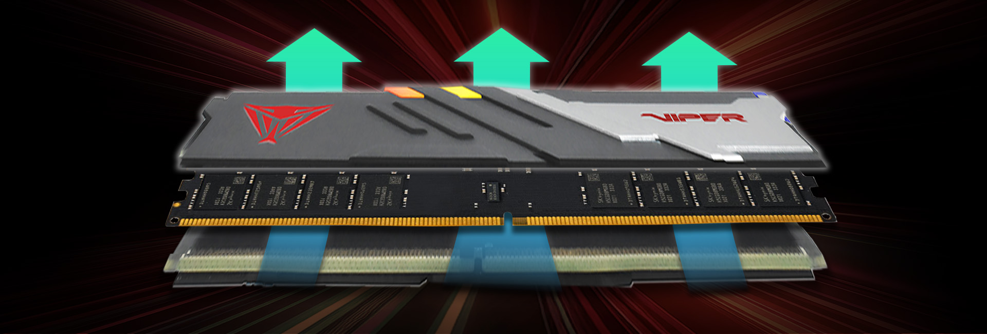 Viper Venom DDR5 — System Build